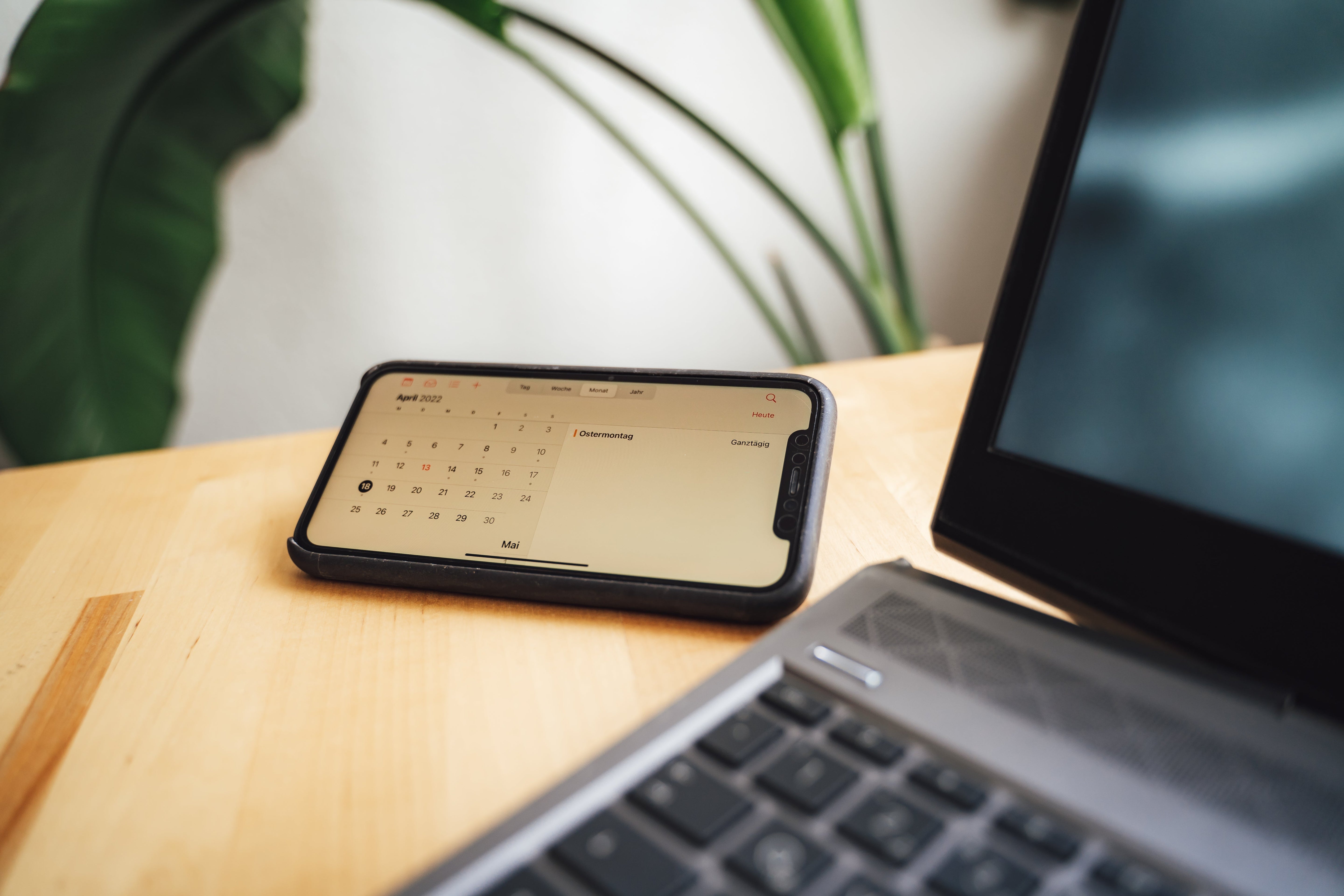 Universal Adapterplatte